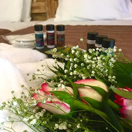 Pansion Elli * Loutra Aidhipsou