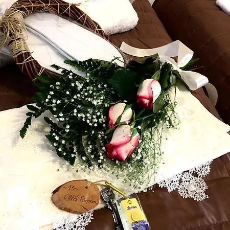 Pansion Elli Loutra Aidhipsou