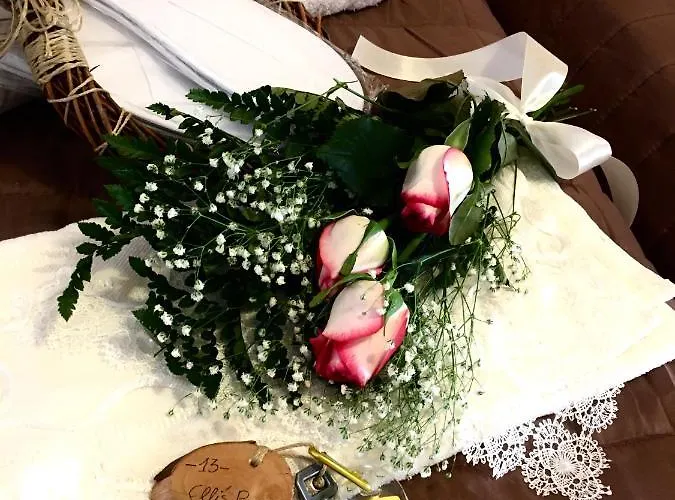 Pansion Elli Loutra Edipsou (Evia)